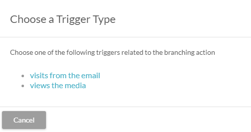 Visual workflow trigger branch